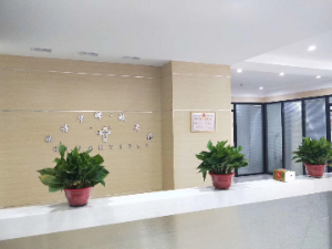 珠海分公司